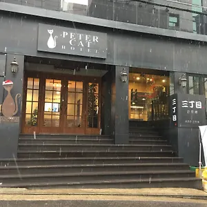 Petercat Shinchon Hotel Séoul